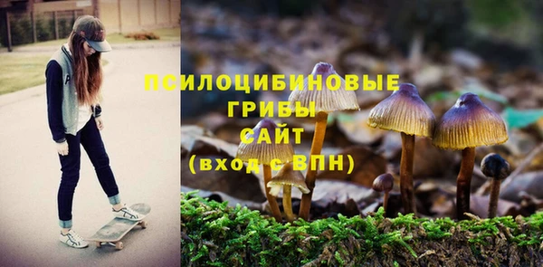 а пвп мука Абаза